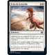 Éclat de la lentille : MH2 020/303 C ★Foil★