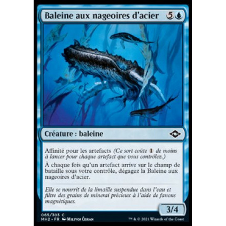 Baleine aux nageoires d'acier : MH2 065/303 C