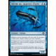 Baleine aux nageoires d'acier : MH2 065/303 C ★Foil★