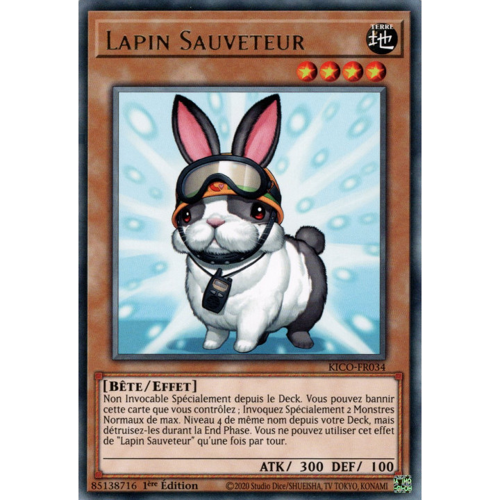 KICO-FR034 Lapin Sauveteur