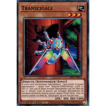 Transcigale : MP21-FR012 C