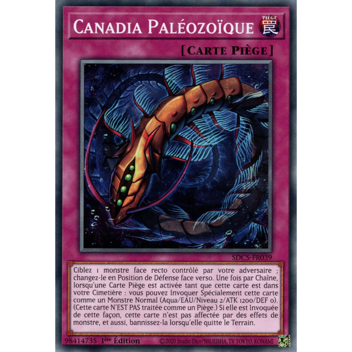 Canadia Paléozoïque : SDCS-FR039 C