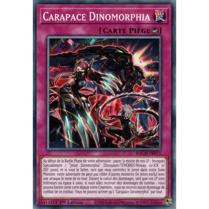 Carapace Dinomorphia : BACH-FR071 (C)