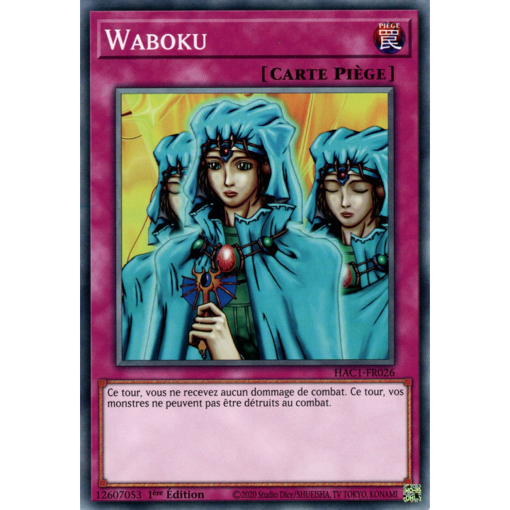 Waboku : HAC1-FR026 (V.1 - C)