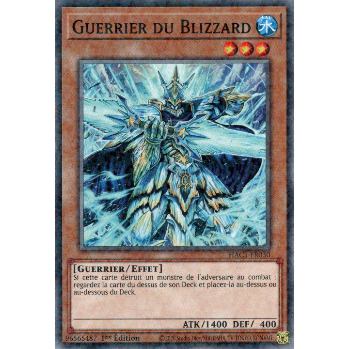 Guerrier du Blizzard : HAC1-FR030 (V.2 - DNPR)