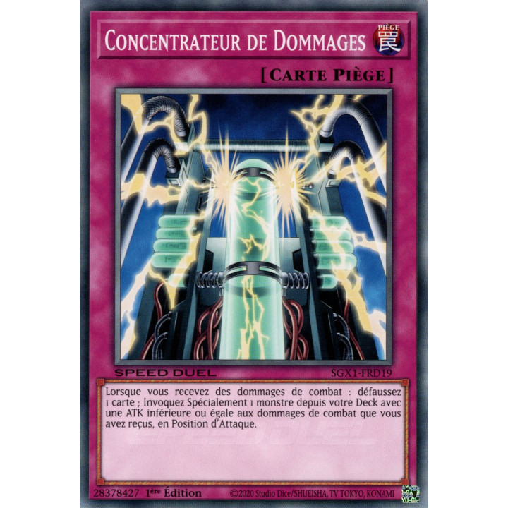 Concentrateur de Dommages : SGX1-FRD19 (C)