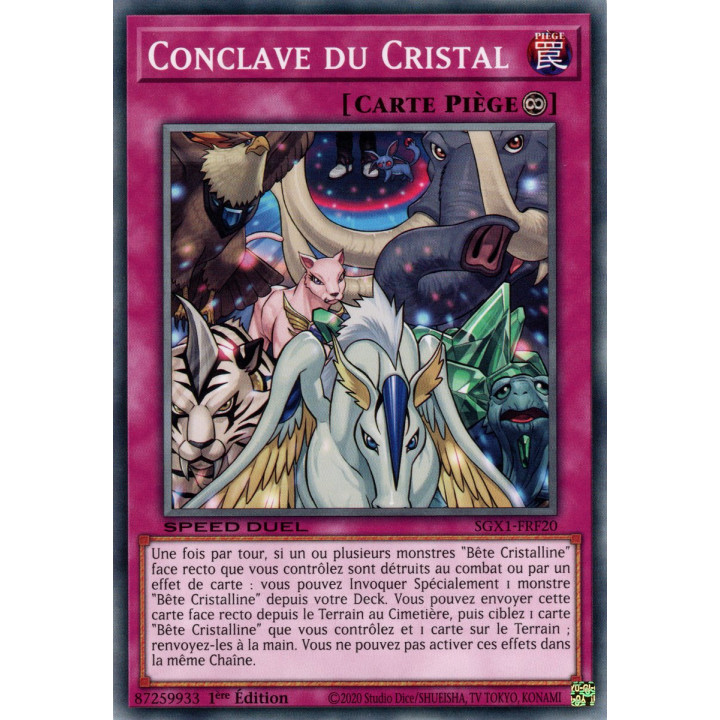 Conclave du Cristal : SGX1-FRF20 (C)