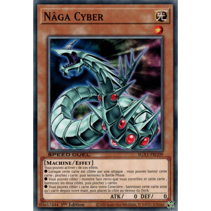 Nâga Cyber : SGX1-FRG09 (C)