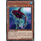 Requin à Double Nageoire - LED9-FR049 - Cartes Yu-Gi-Oh!